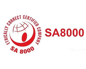 林芝SA8000社会责任管理体系